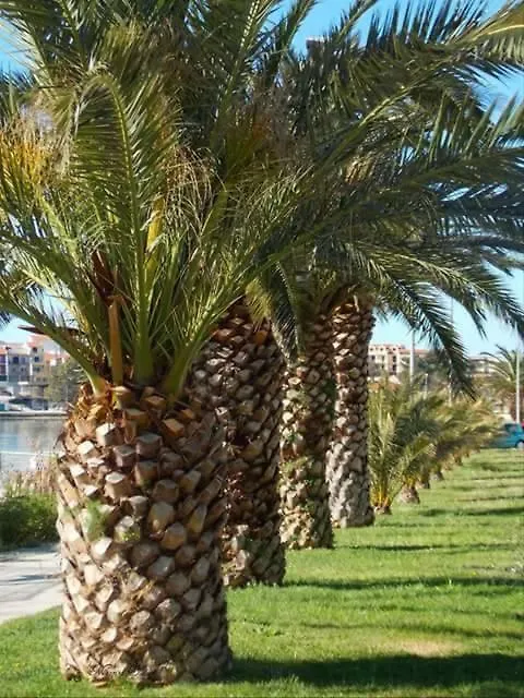 Apartmán Studio Ruzica -Stobrec, Near Split